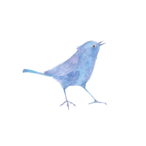 Illustration cartoon-style watercolor bird on white