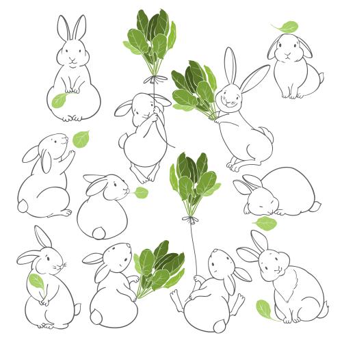 Spinach. Vector cute rabbits with spinach leaves on white