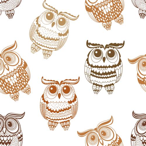 Owl. Vector cute cartoon owls on white