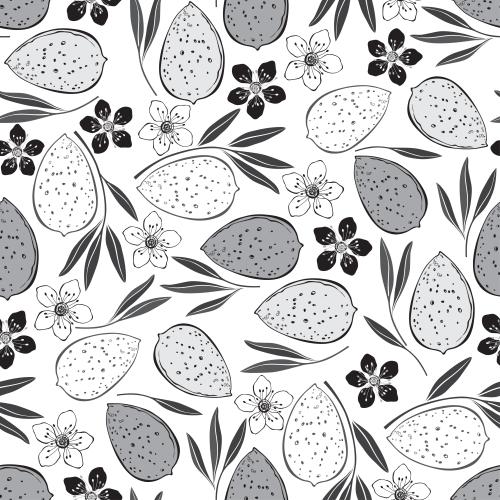 Nut. Vector almond, nuts, flowers and leaves, monochrome images on white