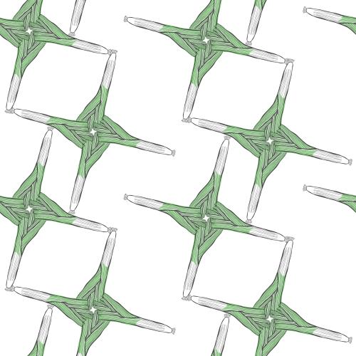 Onion. Vector leek on white