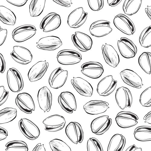 Nut. Vector pistachios