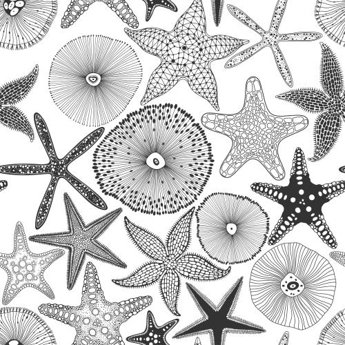 Illustration sea stars and underwater creatures on white