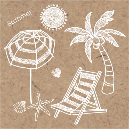 Shell. Vector beach leisure elements, inscription summer on craft