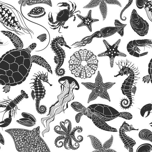 Shell. Vector sea creatures: turtle, squid, ray, octopus, lobster, seahorses, jellyfish and others, black silhouettes on white