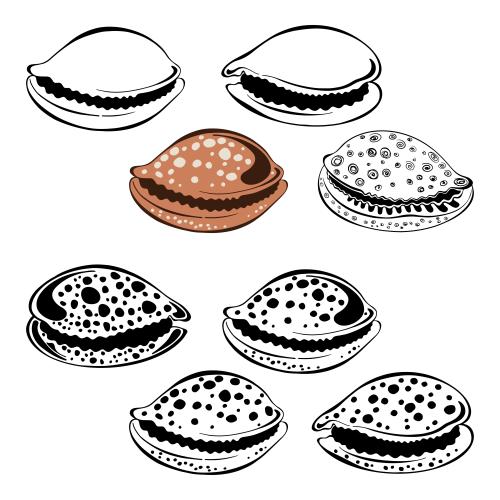 Vector image shells on white, eight options