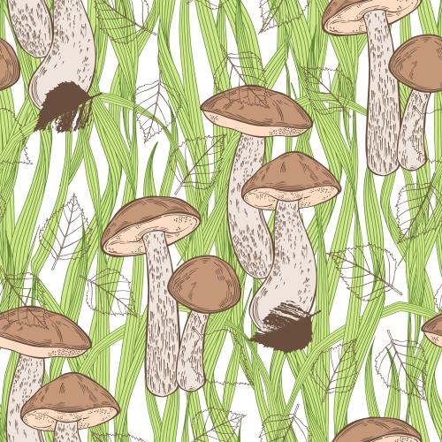 Vector image birch boletes, silhouettes and contours of birch leaves, green grass on white