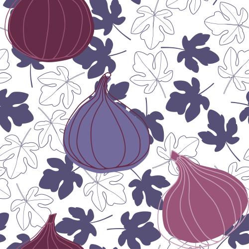 Fig. Vector fig, fruits and leaves on white