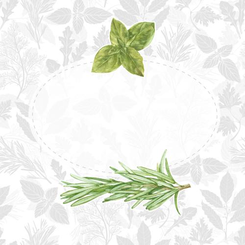 Raster image oval frame with watercolor basil and rosemary on white with silhouettes of culinary herbs