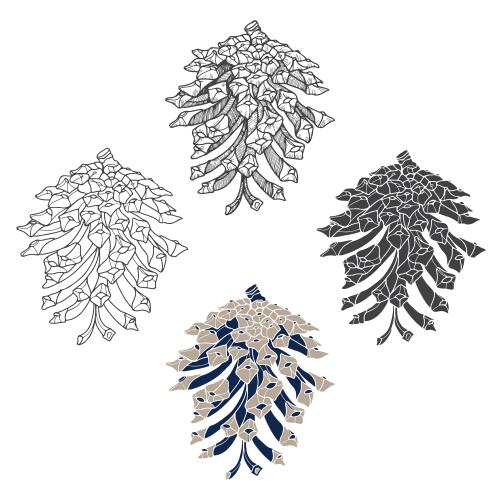 Vector image pine cones, four variants on white