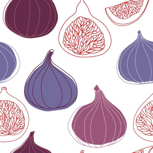 Fig. Vector fig on white