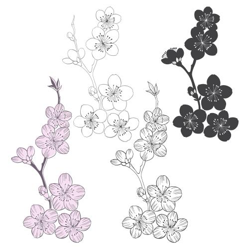 Sakura. Vector blooming cherry blossom branches, contours and silhouettes on white, four variations