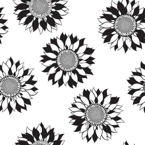 Sunflower. Vector sunflowers on white