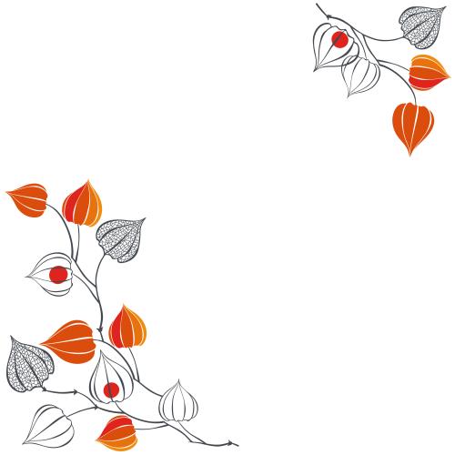 Autumn. Vector physalis place for text on white corner composition