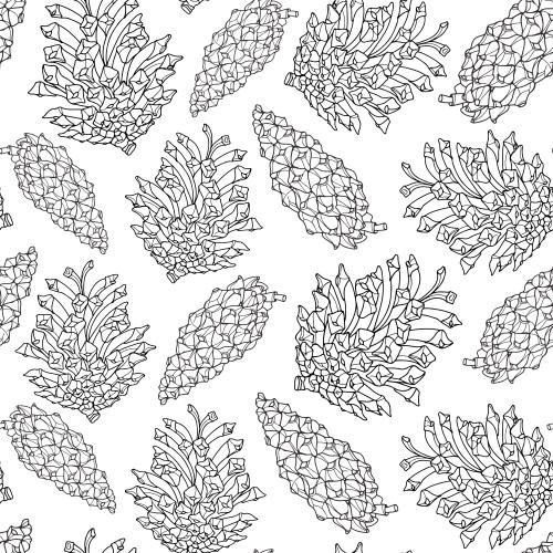 Cone. Vector pine cones black outlines on white