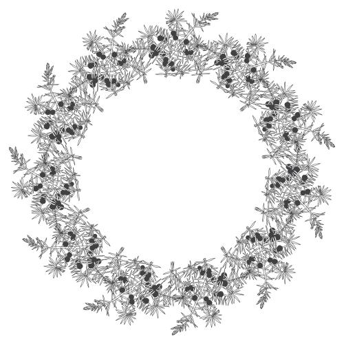 Juniper. Vector round frame-wreath from juniper branches on white