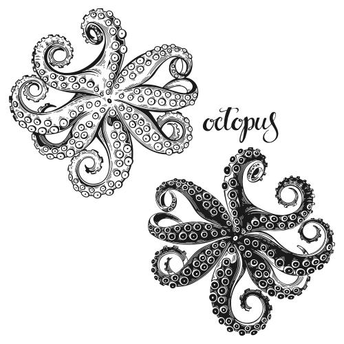 Octopus. Vector octopuses two options on white