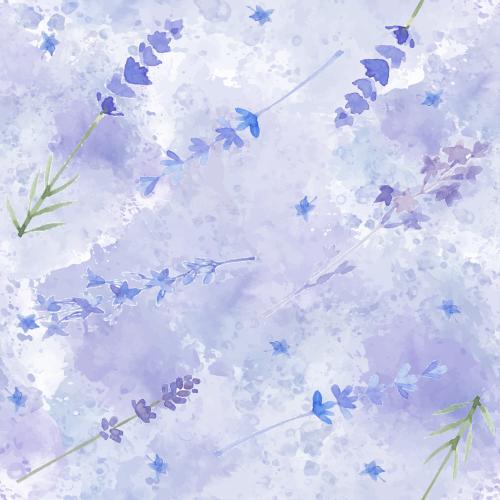 Lavender. Vector watercolor lavender on purple