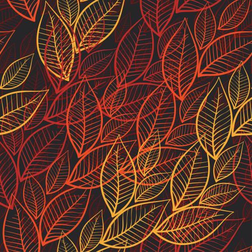 Autumn. Vector autumn leaves on black