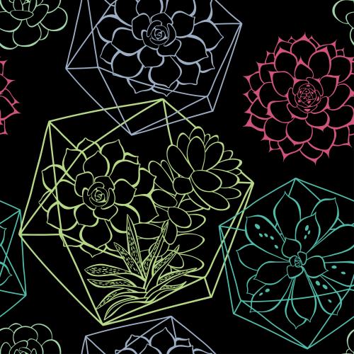 Succulent. Vector succulents in a florarium and without, colorful contours on black