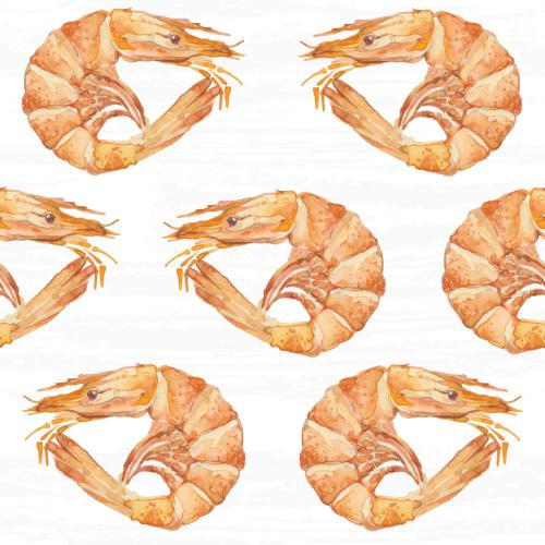 Raster image shrimp on white