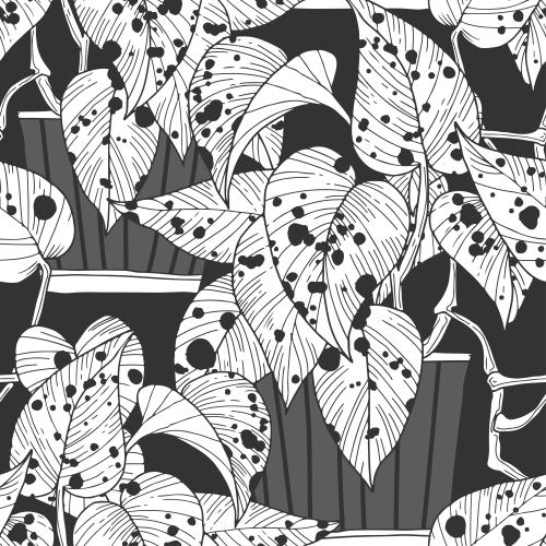 Vector image spotted indoor plants in pots on black
