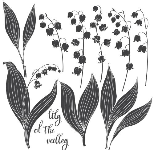 Vector image lily of the valley, black silhouettes on white