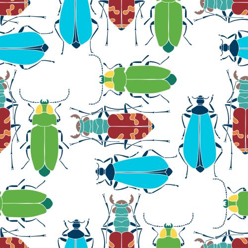 Bug. Vector colorful beetles on white