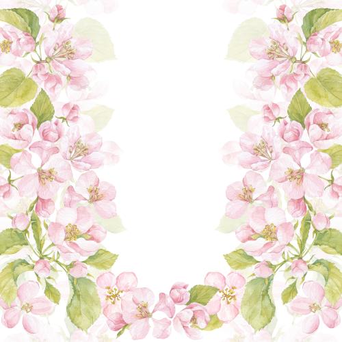 Raster image watercolor flowers and apple tree leaves space for text on white