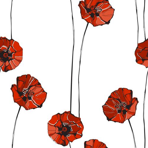 Poppy. Vector red poppies on white