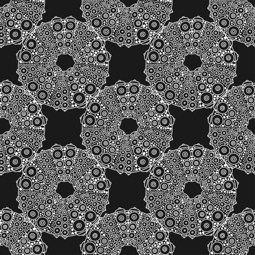 Shell. Vector Pattern sea hedgehogs white contours on black