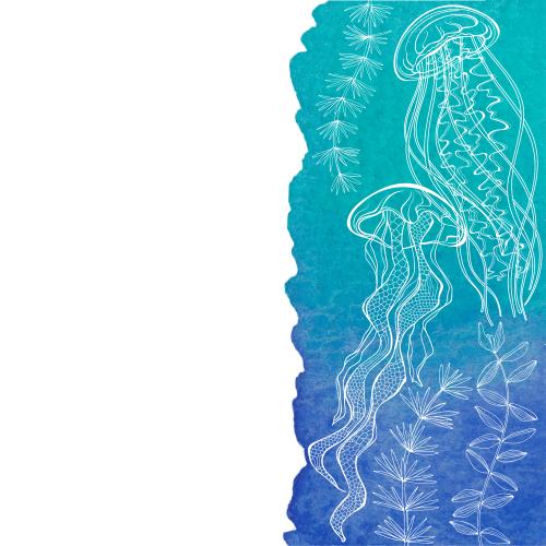 Jellyfish. Vector jellies seaweed on blue watercolor fragment space for text on white