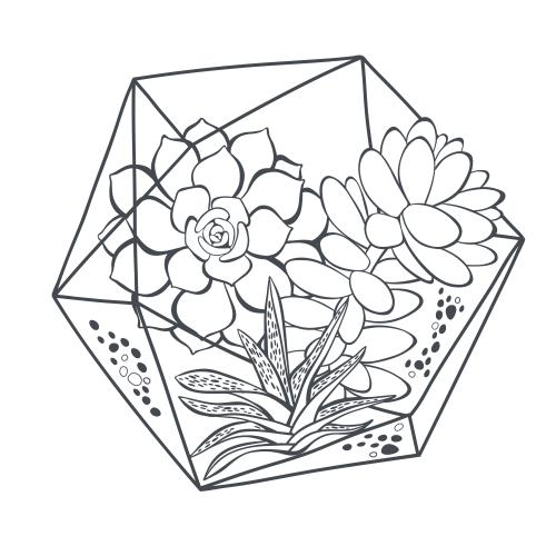 Item. Vector succulents in a florarium on white