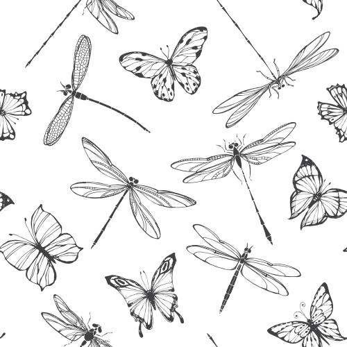 Dragonfly. Vector butterflies and dragonflies on white