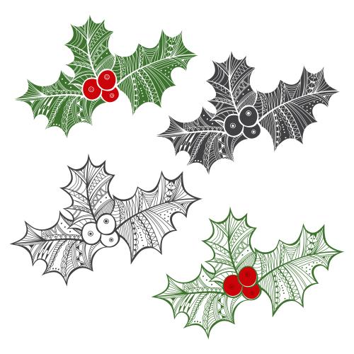 Holly. Vector dogwood, four versions on white
