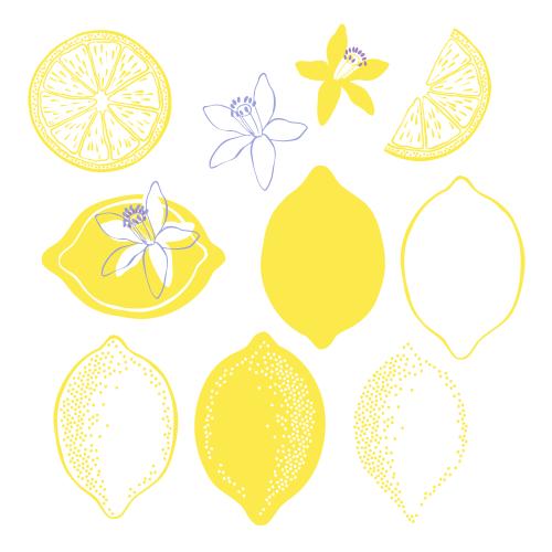 Illustration lemon, flowers and fruits, options on white