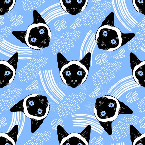 Siamese cat. Vector siamese cats cute faces and decorative fragments on blue