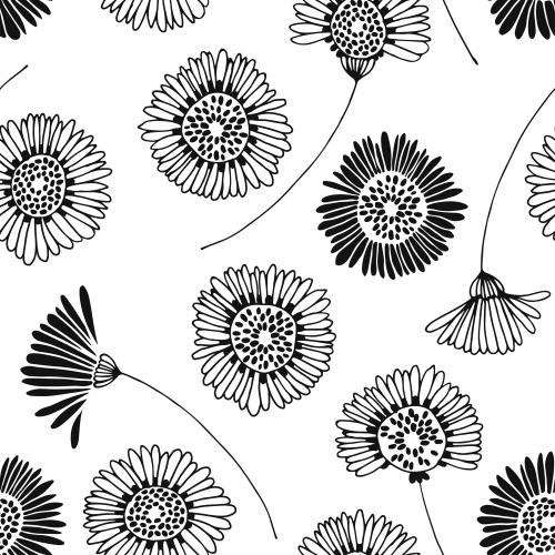 Vector image daisies in the doodle style on white