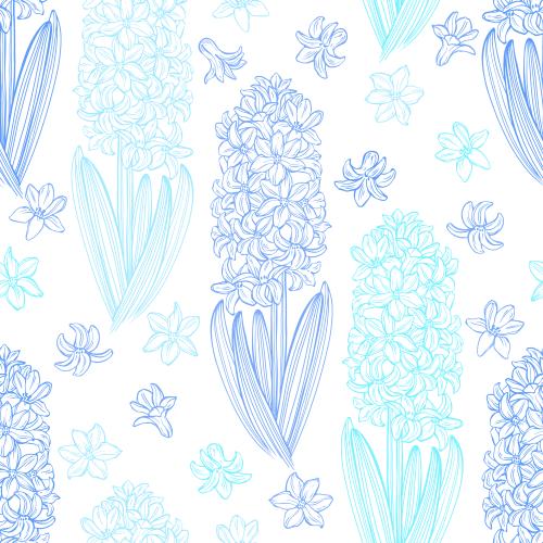 Hyacinth. Vector multicolored hyacinths on white