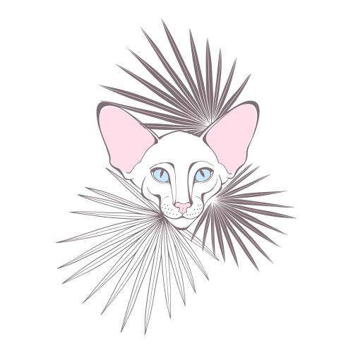 Oriental cat. Vector oriental cat cute face and palm leaves on white