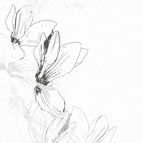 Cyclamen. Vector flowers cyclamen, corner composition on white