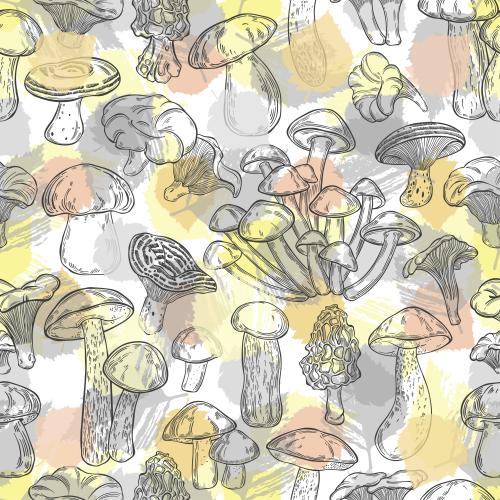 Vector image mushrooms and leaves on white