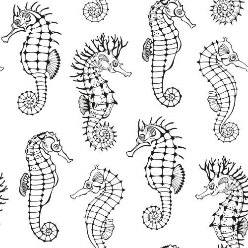 Illustration seahorses black contours on white