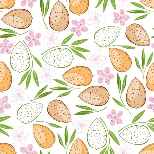 Nut. Vector almond, nuts, flowers and leaves on white