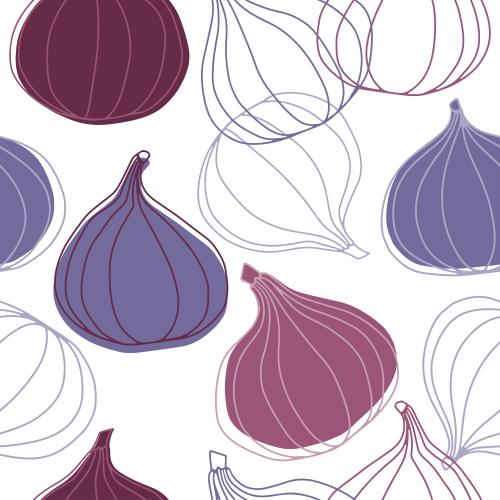 Fig. Vector fig, colored outlines and silhouettes on white