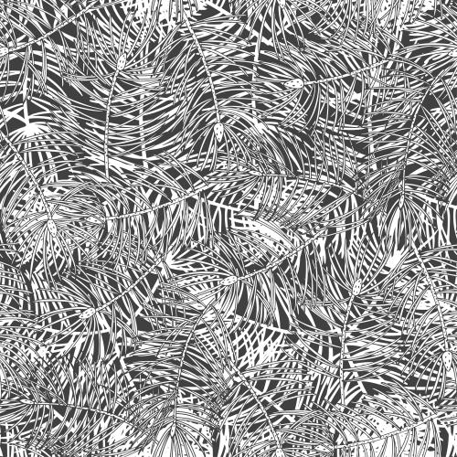 Pine. Vector coniferous twigs on black