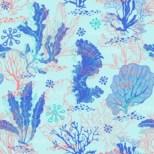 Seaweed. Vector marine algae, corals, colored outlines and silhouettes on blue