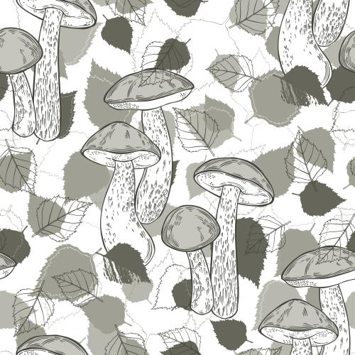 Vector image boletus mushrooms, contours and silhouettes of birch leaves on white