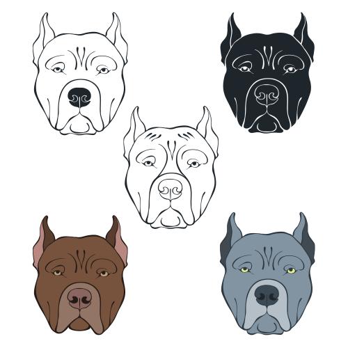 Dog. Vector pitbull faces, various options on white
