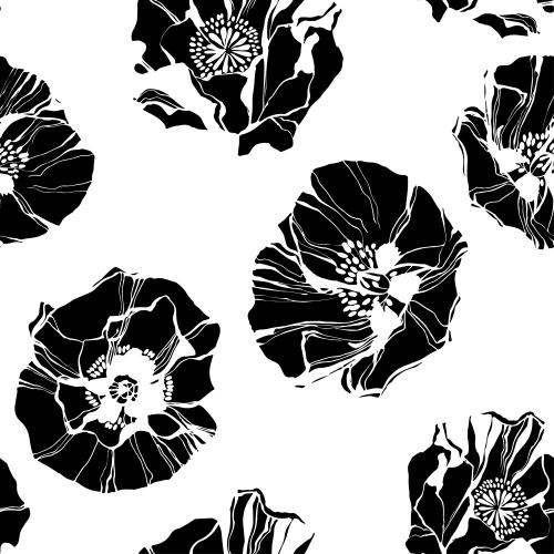 Poppy. Vector black silhouettes of poppies on white